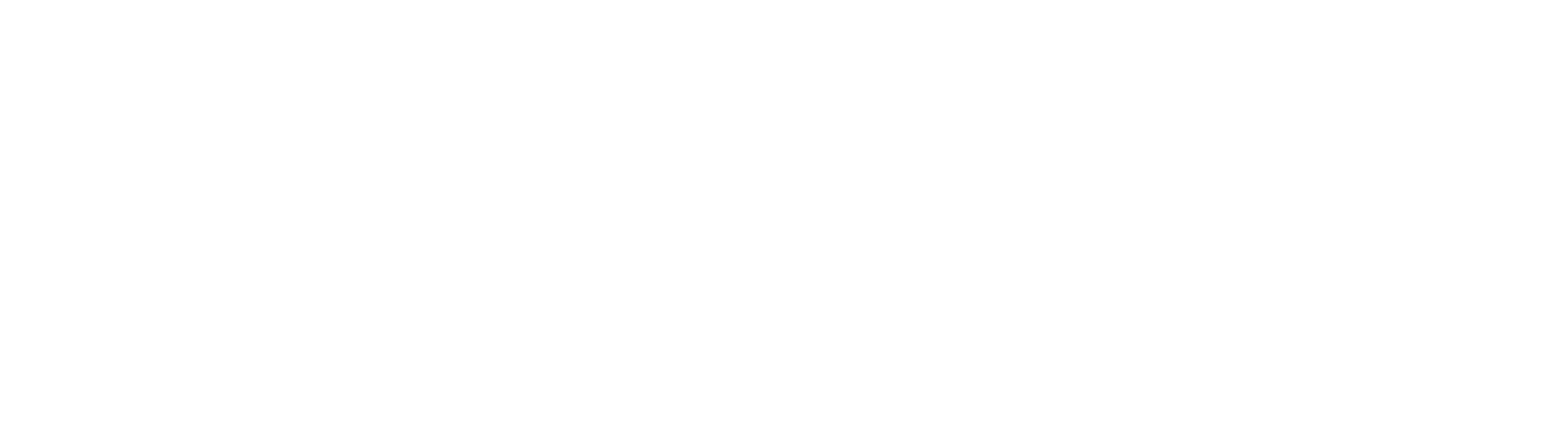 Lowlander beer