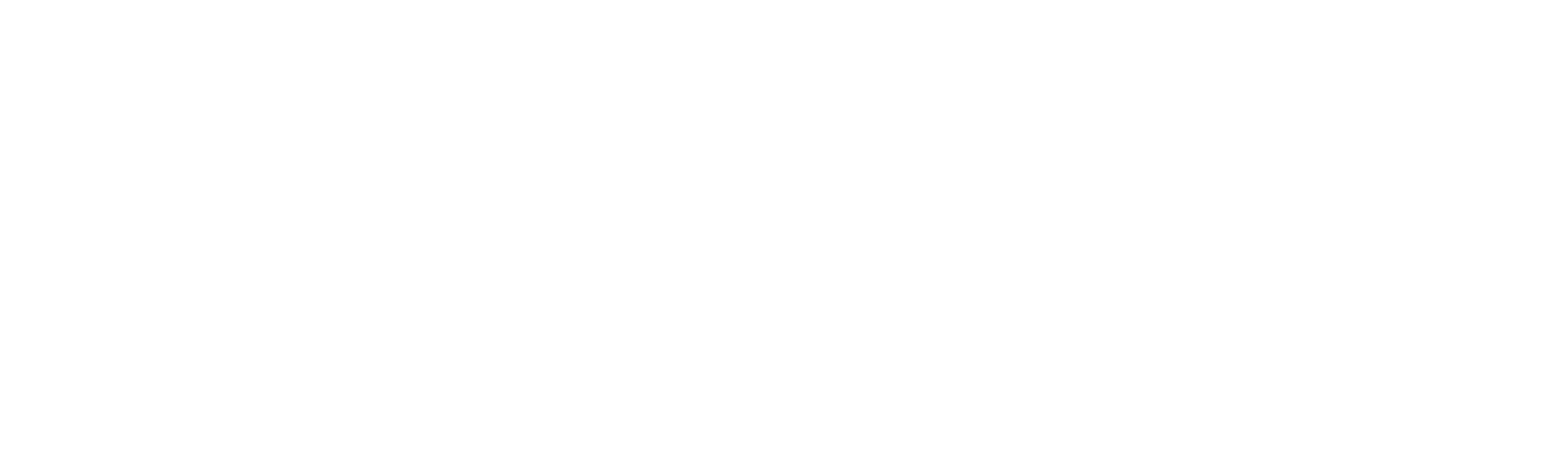 Logo Lowlander